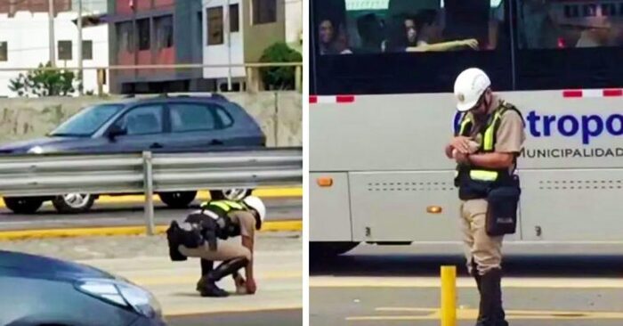  A wonderful story: this caring and kind policeman stops the cars so that he can save the cat’s life