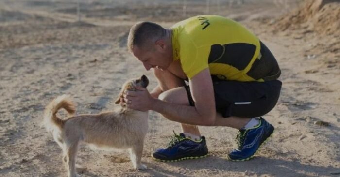  Beautiful story: this lonely dog followed an ultrarunner throughout the race and found a caring owner for her