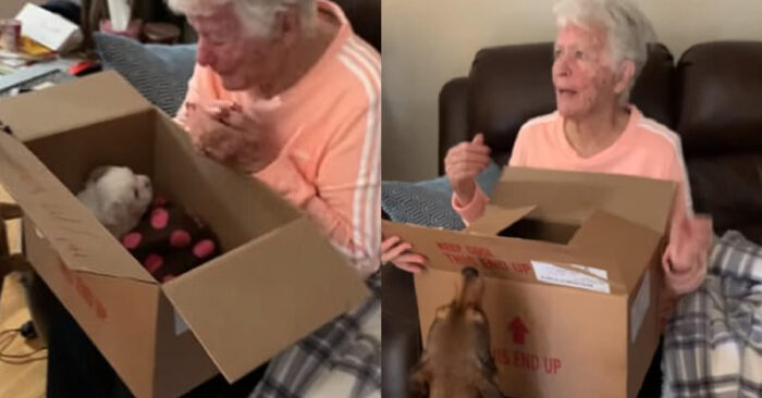  A beautiful scene: the old grandmother is excited to see what surprise her family has prepared for her