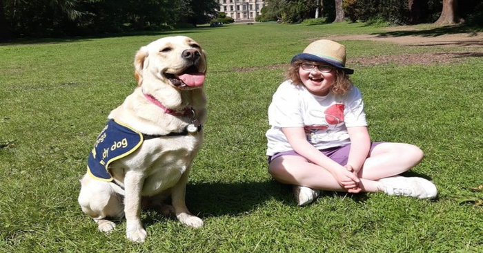  Amazing help: this smart dog helps a girl with autism and changes her life