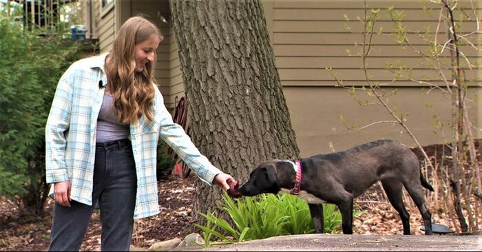  Very touching story: this woman adopted a dog with the same disease as her daughter