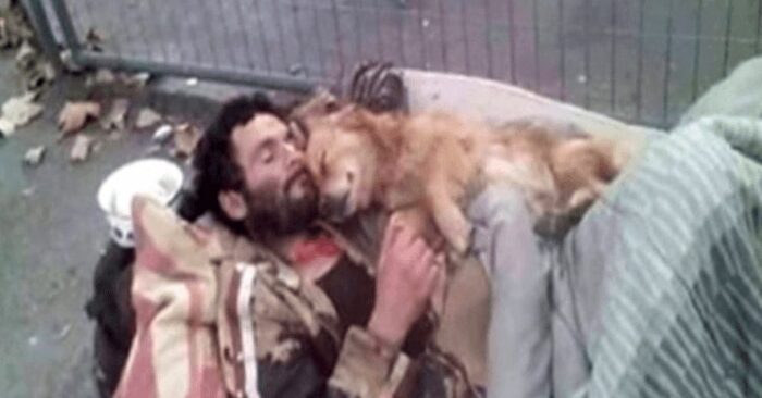  What a touching scene: this homeless man sleeps every day with his beloved and faithful dog in his arms