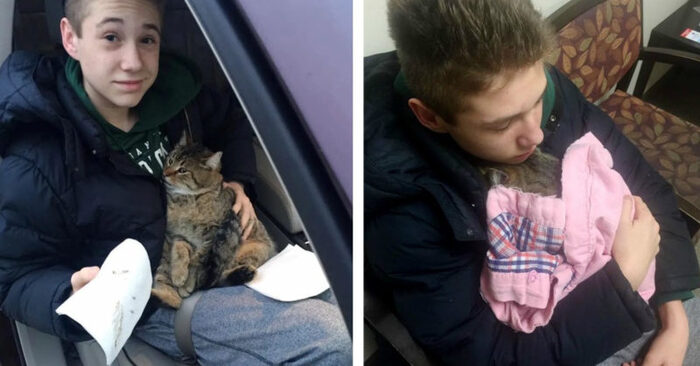 Amazing act: this young boy noticed the cat thrown out of the car, approached and helped the little one