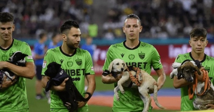  An interesting story: these Dynamo players from Bucharest decided to go to the match with dogs