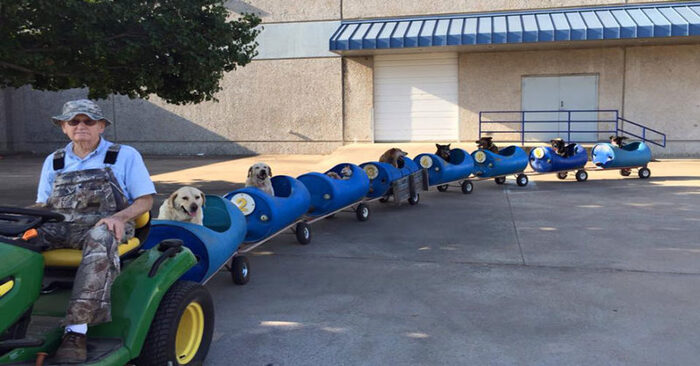  What a wonderful idea: this old man decides to build a train for all the rescued dogs