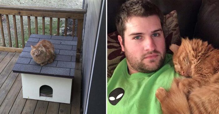  What extraordinary patience: this man has been trying to earn the trust of an abandoned cat for almost a year