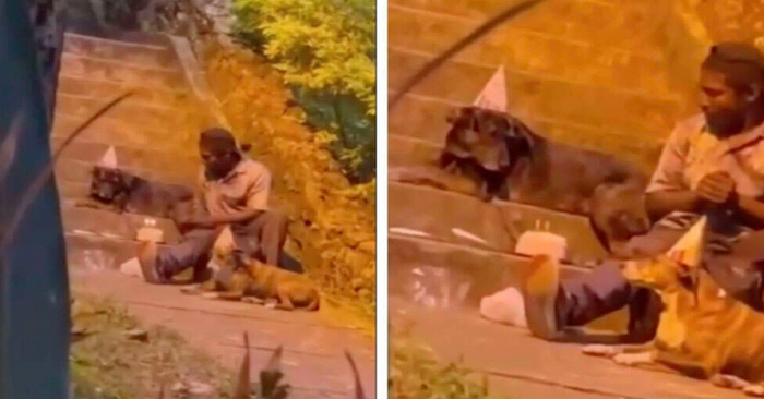  A passer-by managed to film a homeless man celebrating his dog’s birthday