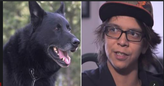  After a vehicle accident, a devoted dog battles off coyotes and shields a boy for two days