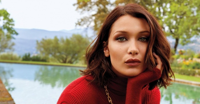  In reality, she is perfect: Hadid, the most beautiful woman in the world, impressed fans with her image
