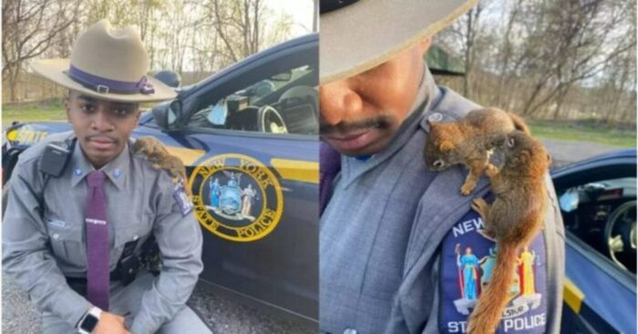  Good story: this caring officer saved the squirrels and became the center of everyone’s attention
