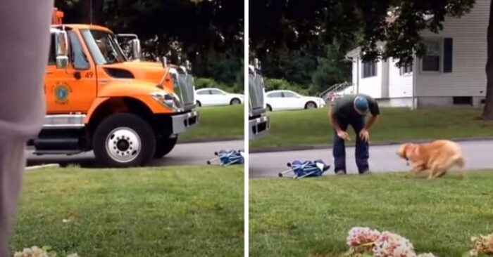  Amazing relationship: this homeowner secretly films the friendship between dog and garbage collector