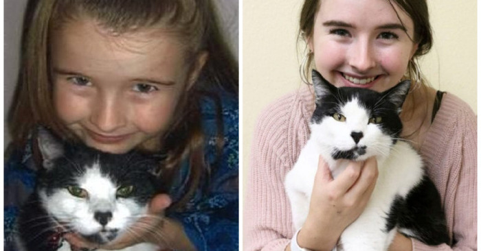  Hannah, a teenager, discovers her abandoned childhood cat while volunteering at an animal shelter
