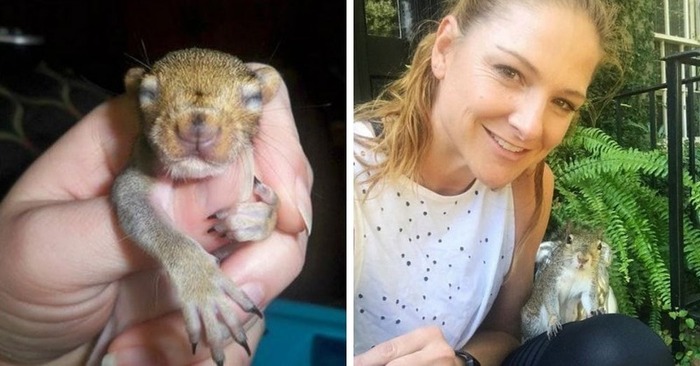  What a sweet story: the good girl helped save the wounded squirrel and that’s how she thanked the family