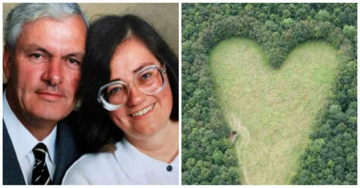  What a sweet story: this unique man planted thousands of plants for his wife to prove his intense love