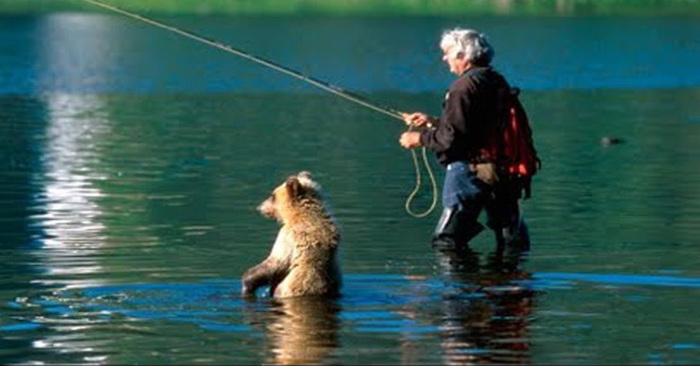  Cute scene: a kind bear cub went up to the fisherman and asked for fish, but not for himself, but for his mother