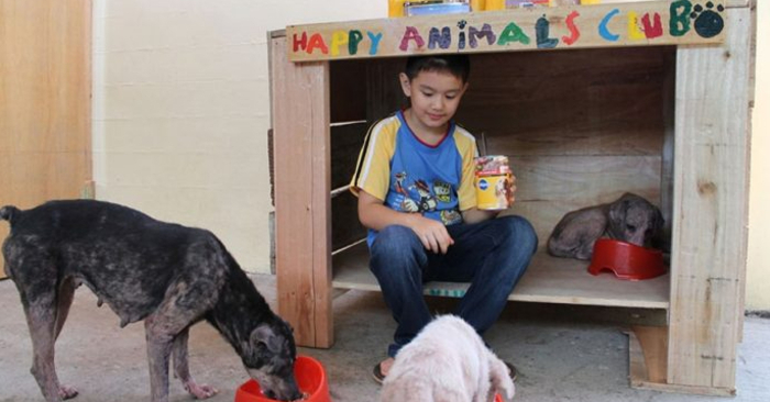  A 9-year-old boy converts his garage into a shelter for stray animals