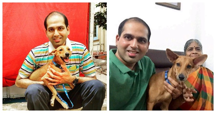  The dog that medical students threw from a roof, named Bhadra, is now content in his forever home