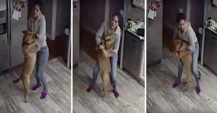  What a cute scene: hidden cam showed this girl spending her day with her dog