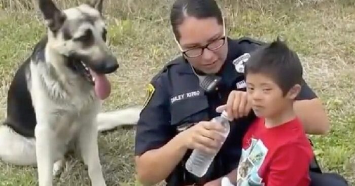  Lovely story: wonderful and loyal dog stays by lost boy’s side until rescuers arrive