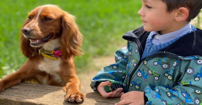  Interesting story: this little autistic boy learns to communicate with others thanks to his dog