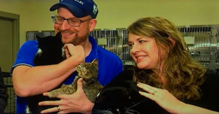  Good story: these people adopted 3 cats, including a blind one, for their visually impaired child