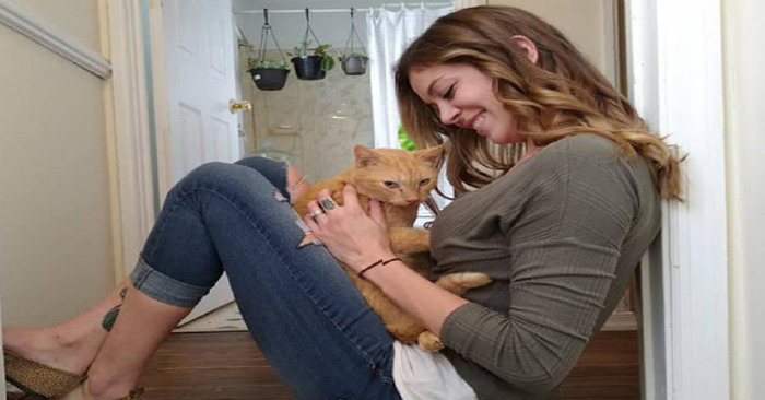  The cat, who has been missing for 536 days, runs into his owner’s arms
