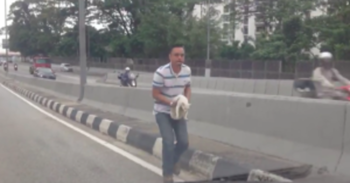  Beautiful scene: a kind man was able to save a cute lonely kitten from a busy highway