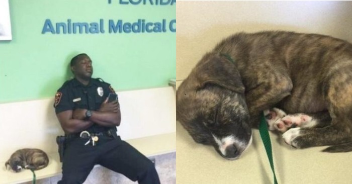  A caring officer found a homeless puppy and stayed with her until he was sure that she was safe