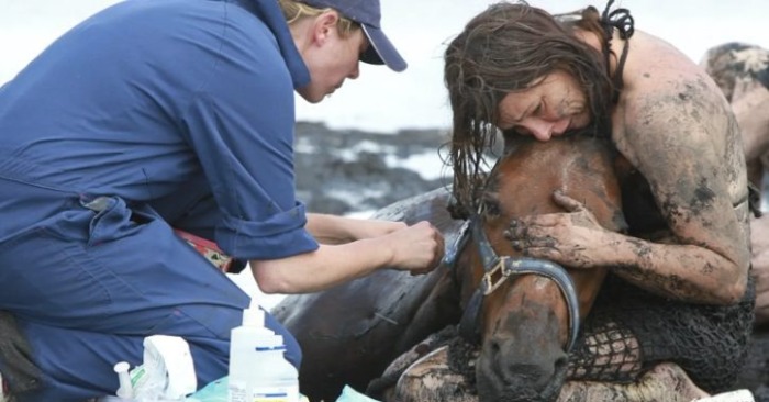  A caring woman did not leave her horse for a minute when an animal weighing 900 pounds stuck in the mud