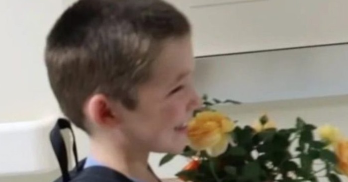  How cute reaction! A touching reaction of a little boy to his newborn sister