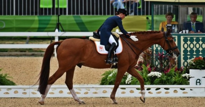  With a gold medal, she sacrificed her career to save her horse-touching up to tears