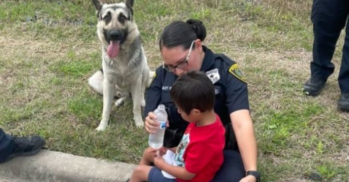  The devoted dog did not leave the missing 5-year-old boy with Down syndrome for a minute