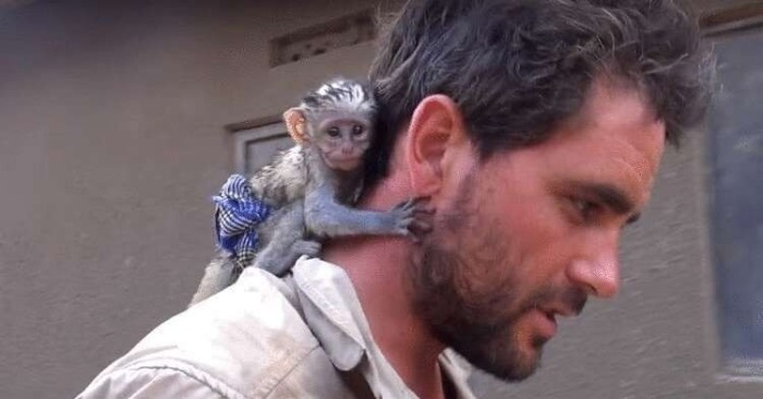  The caring man saved the monkey from the fire, and how she thanked him to conquers millions of hearts