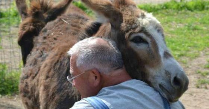  A Farmer’s Hope Restored: Reuniting with Beloved Animals After a Devastating Fire