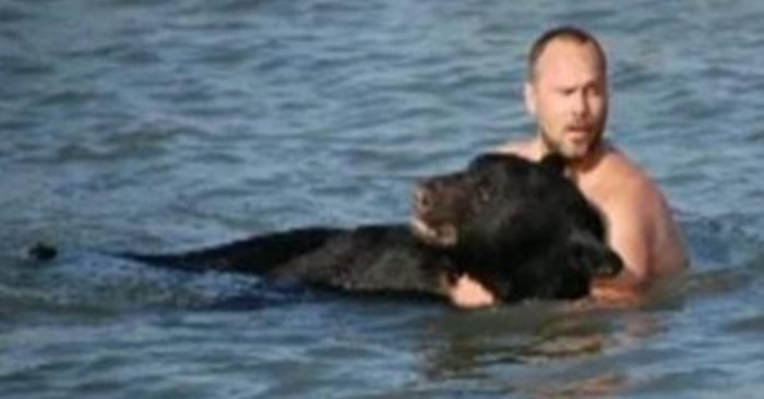  Unlikely Lifesaver: Meet Adam, the Man Who Saved a Bear in Distres